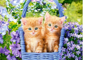 Пазл CastorLand Premium Рыжие котята, 70 деталей