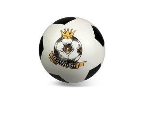 Мяч д.200мм Чемпион (Чемпион)