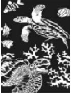 Гравюра мини серебро Черепаха