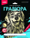Гравюра большая "Золотистый ретривер"