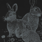 Набор для творчества LORI Гравюра Family большая с эффектом серебра Кролики