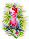 Набор для творчества Белоснежка Картина по номерам на холсте Розовый попугай 30*40 см