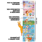 Плакат Malamalama Наше тело, с окошками