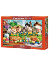 Castorland Пазл 1000 деталей Тихий час