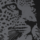 Набор для творчества LORI Скретчинг Животные Красивый леопард 30*40см