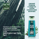 Подарочный набор Чистая Линия Романтика Тайги (2X250 мл)