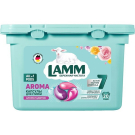 Капсулы для стирки LAMM Aroma 20 шт
