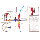 Игровой набор ABtoys Лук со стрелами на присосках, в наборе