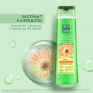 Чистая Линия Nature Plus Шампунь Свежесть и объем регулирующий для склонных к жирности волос 400мл