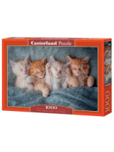 Castorland Пазл 1000 деталей Милые котята