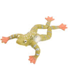 Фигурка Abtoys Юный натуралист Лягушки Лягушка (хаки, лежачая), термопластичная резина