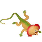 Фигурка Abtoys Юный натуралист Рептилии Ящерица (зелено-песочная с ярким воротником), термопластичная резина