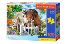 Пазл Castorland Premium Лучшие друзья 100 деталей