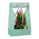 Пакет для цветов QWERTY Корзина с лентой зеленый